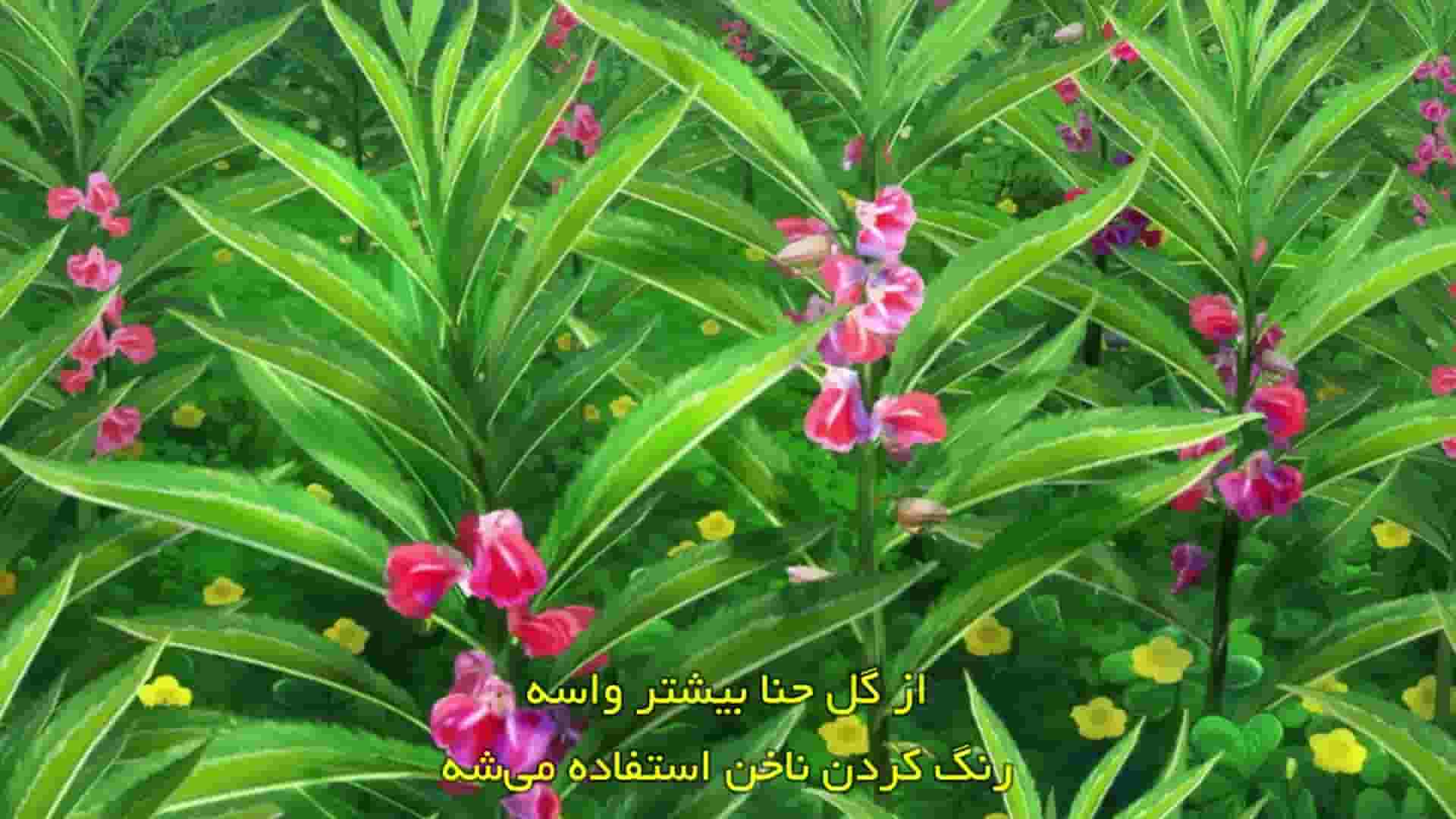 پخش فیلم