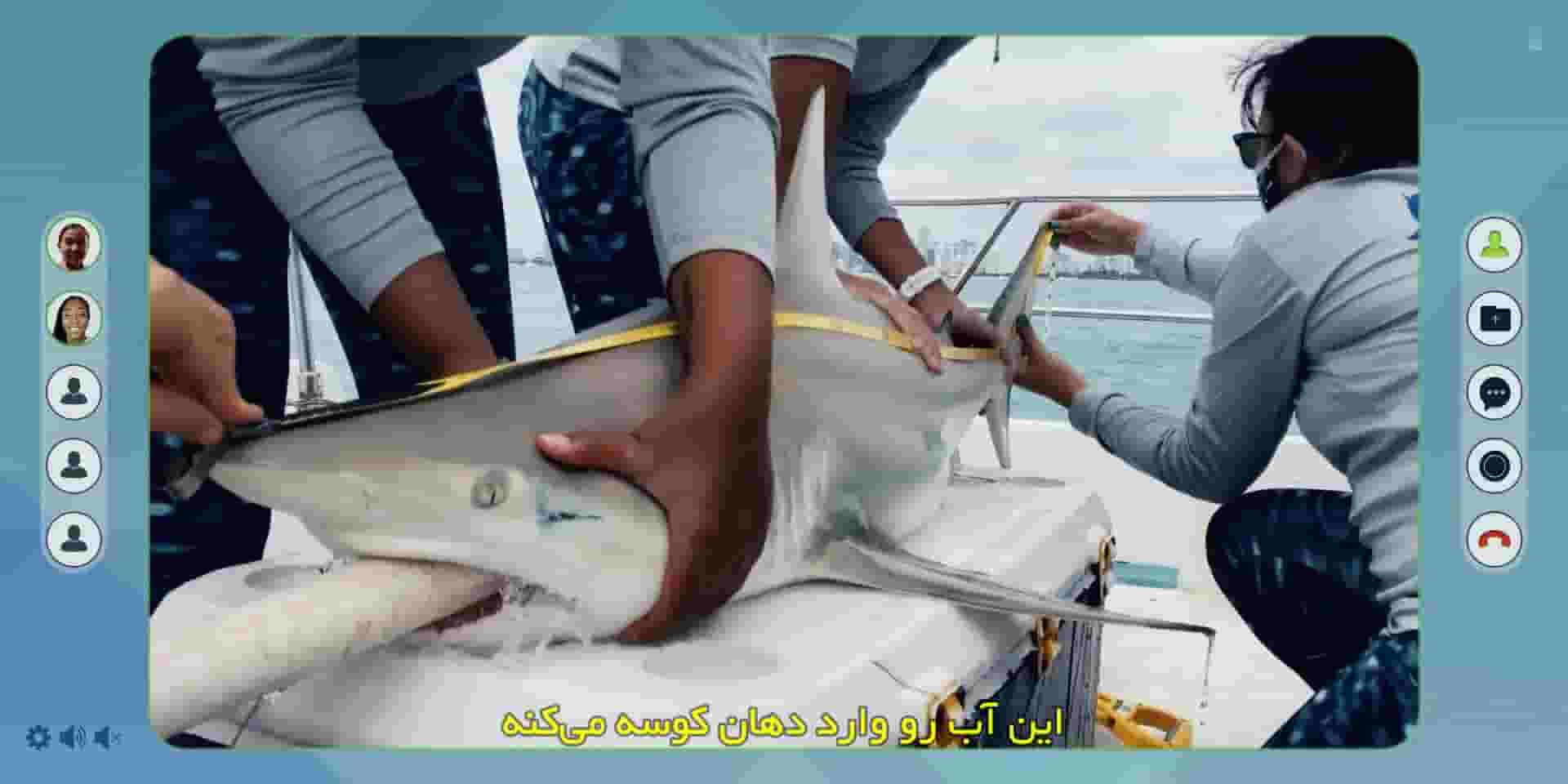 پخش فیلم