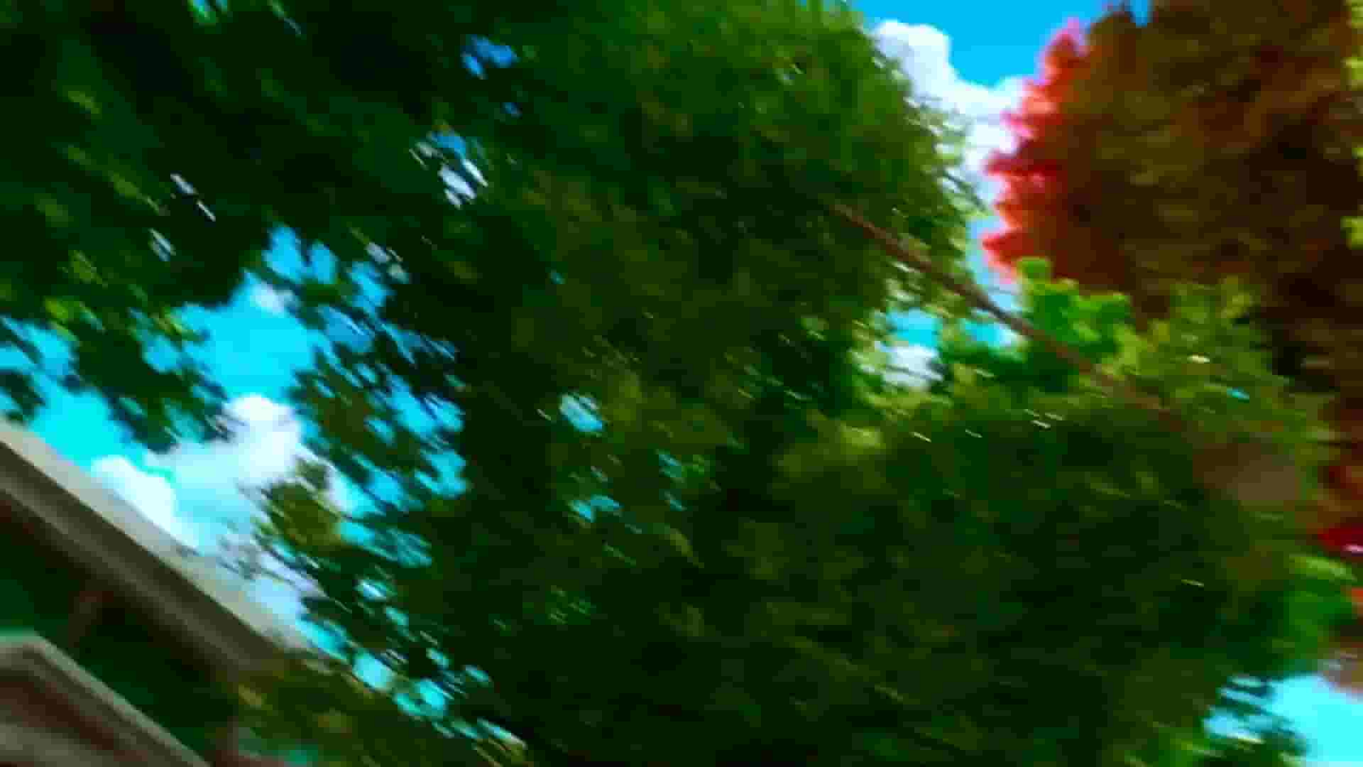 پخش فیلم