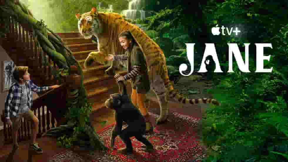 پخش فیلم