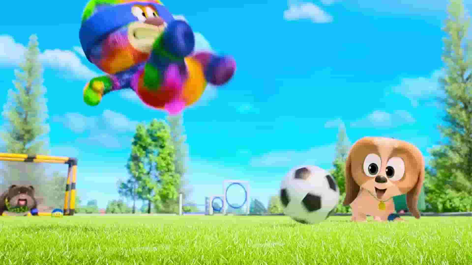پخش فیلم