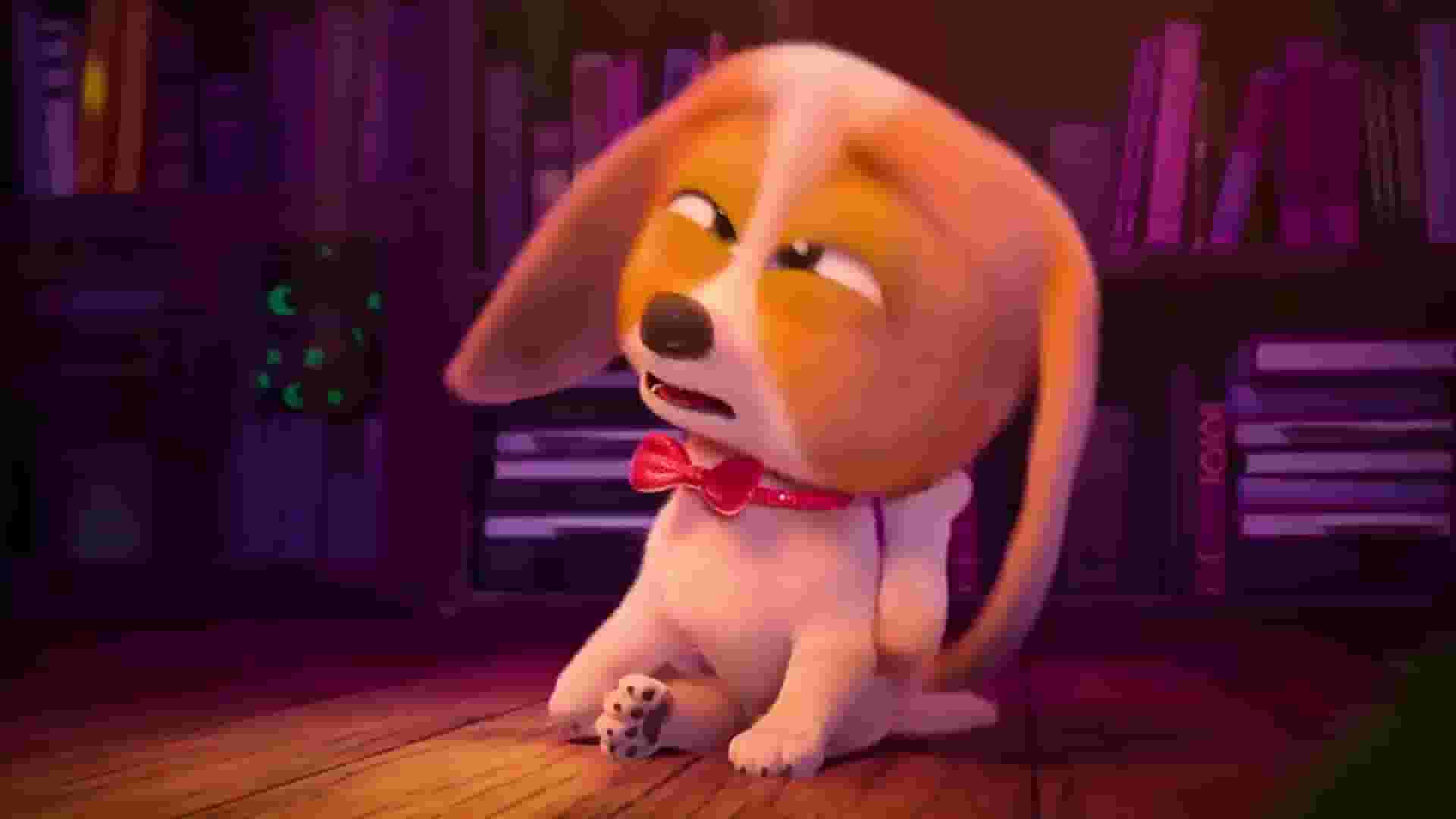 پخش فیلم