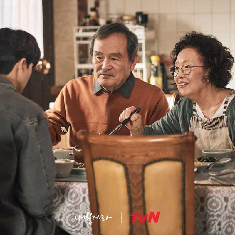 نقد و بررسی سریال همچو پروانه محصول سال 2021 | چیبینو