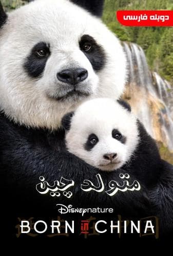 متولد چین
